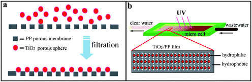 (a) Anchoring TiO2 porous nanospheres on porous PP membrane. (b) Experimental setup for continuous photodegrading process.