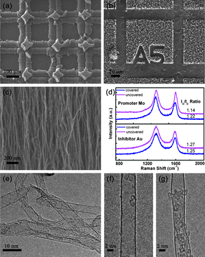 (a) A promoter (Mo grid) patterned growth of rilievo-structured CNT architectures; (b) an inhibitor (Au grid) patterned growth of intaglio-structured CNT architectures; (c) the SEM micrograph of the aligned CNTs in promoter patterned growth; (d) Raman spectra of CNT arrays obtained in the Mo and Au patterned CVD process; (e) TEM and (f), (g) high resolution TEM micrographs of patterned aligned CNTs under the Mo grid mask.