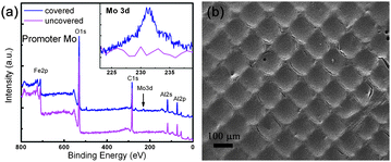 (a) The XPS spectra on annealed silicon substrate, showing the Mo signal on covered area, the insert showed enlarged spectra in Mo 3d region; (b) the obtained CNT on substrate annealed with patterned Mo mask, while the Mo grid was removed during the CVD process.