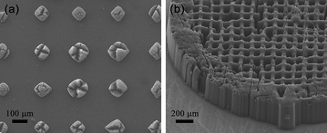 Different CNT architectures obtained with Mo grid as the mask. (a) Walnut-like CNT architectures with 3-min annealing; (b) CNT monolith obtained with 10-min annealing.