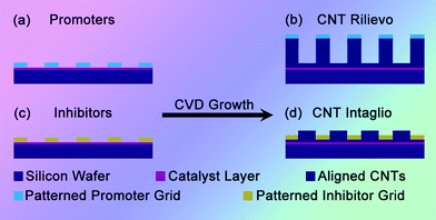 Patterning of 3D CNT architectures by a pattern transfer approach. The substrate with Fe catalyst layer covered by (a) promoter grid led to (b) the formation of rilievo-patterned CNT architectures; while covering by (c) inhibitor grid led to (d) the formation of intaglio-patterned CNT architectures.