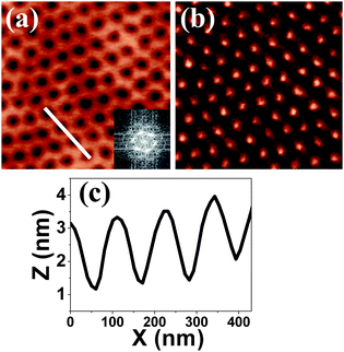 AFM height (a) and phase (b) images of PS-b-PMMA thin film after being annealed in acetone for 5.5 h. The scanning size of both images is 1 × 1 μm2. (c) Cross-section profile along the line in (a). Inset of (a) is corresponding fast Fourier transformation.