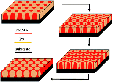 Schematic illustration of the morphology evolution of PS-b-PMMA thin film during solvent-annealing.