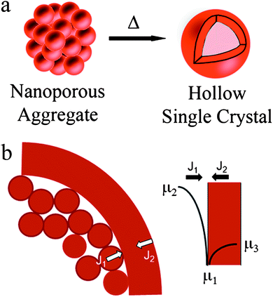 (a) Schematic illustration of the process of formation of hollow structure from nearly spherical mesoporous aggregates. (b) Schematic illustrating that rate of mass transport from the interior to the shell is much higher than rate of shrinkage.