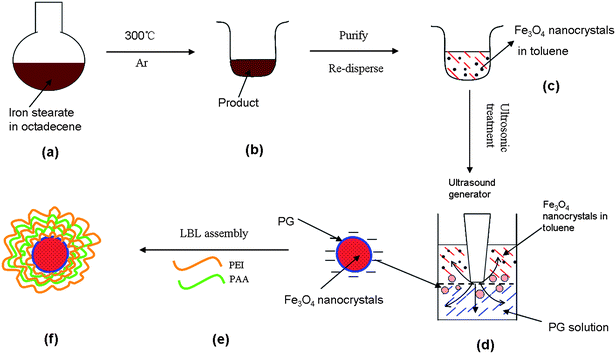 The formation of LBL-stabilized Fe3O4 nanocrystal-loaded polyglutamate capsules. Magnetic iron oxide nanocrystals were first synthesized by pyrolysis of iron stearate in non-aqueous octadecene (a). Then the precipitate (b) was purified and re-dispersed in toluene (c) for the following ultrasonic treatment (d) and subsequent layer by layer deposition (e). (PG: polyglutamate, PEI: polyethyleneimine, PAA: polyacrylic acid, LBL: layer-by-layer).