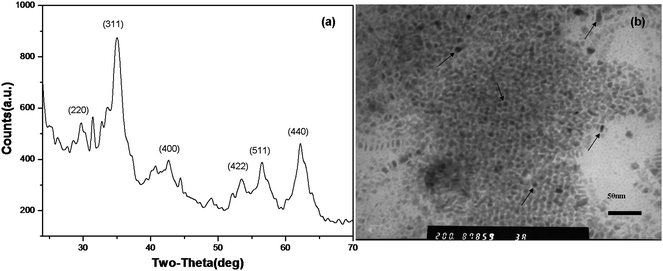 X-Ray power diffraction pattern (a) and TEM image (b) of Fe3O4 nanocrystals prepared by pyrolysis of Fe(ii)-stearate in octadecene.