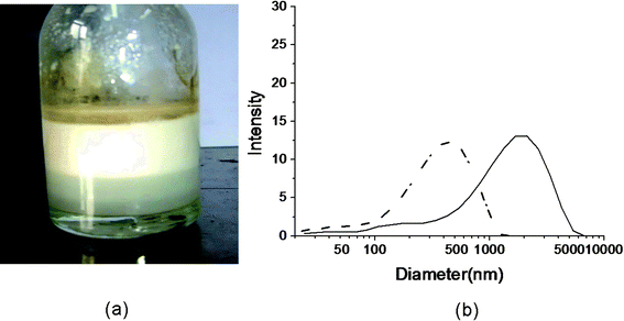 Polyglutamate capsules and their size distribution measured by dynamic light scattering system. (a) The emulsion of bubbles after sonication. (b) The size distribution curve of CdSe/ZnS QD loaded polyglutamate/(PEI/PAA)2 capsules before (solid line) and after aging for 5 days (dashed line). (QD max emission: 560 nm.)