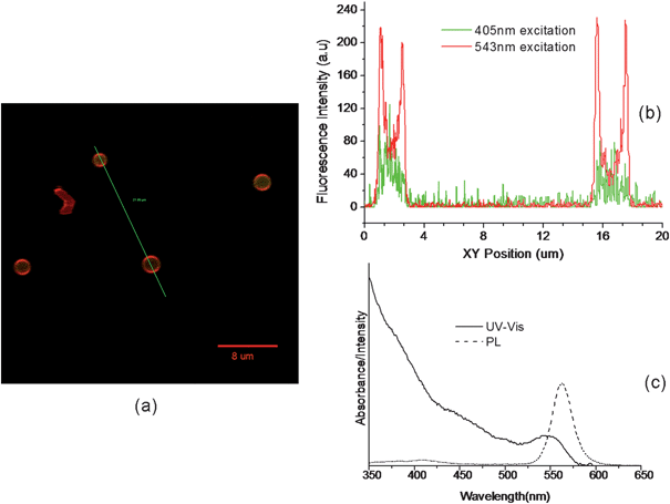 CdSe/ZnS QD loaded polyglutamate/(PEI-RBITC/PAA)2 capsules observed by confocal microscopy and the spectra of QDs used. (a) The overlapped confocal image of the capsules excited by 405 nm and 543 nm respectively. (b) Fluorescence profile along the line indicated in (a). (c) UV-vis and PL spectra of CdSe/ZnS QDs with emission maximum at 560 nm.