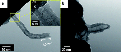 (a)-(b) TEM images of MWNTs were grown on a gold surface at 850 °C, the inset of (a) displayed a thick carbon layer deposited between MWNTs and the gold substrate.