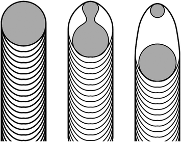 Schematic diagram of the mechanism responsible for the Ni catalyst splitting and the reverse motion observed in CNNs.