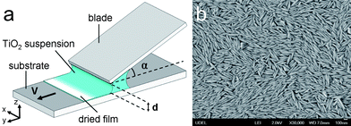 (a) Schematic of the experimental procedure used for assembling titania particles by flow coating. The suspension is confined between glass slides used as a blade and a substrate. The blade makes an angle α with the substrate and is separated by a gap of d. When the substrate is translated at a velocity v, liquid is pulled from the gap and dries to form a film of titanium dioxide particles. (b) A scanning electron microscopy (SEM) image of the titanium dioxide particles. The major axis is 2b = 260 ± 62nm and the minor axis 2a = 48 ± 8nm with an aspect ratio of 5.35 ± 0.88.