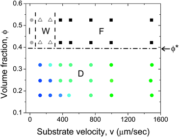 Effect of volume fraction and substrate velocity on the structure of the deposited film. Below the I–N transition (ϕ < ϕ* ≈ 0.40) particles form domains of similar particle orientation (D), with the domain size increasing with increasing substrate velocity. The green filled circles indicate large domains and blue circles indicate isotropic orientation. Above the I–N transition particles align in the coating direction. The filled squares indicate fully aligned particles (F), open triangles indicate a wavy structure (W) and filled gray circles indicate an isotropic structure (I). The films were deposited using a blade at an angle α = 25° and a gap d = 200 μm.