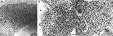 Effect of increasing precursor concentration on the formation of branched nanoparticles. TEM images of platinum nanoparticles from reactions with different amounts of the precursor Pt(acac)2 used: (a) 50, (b) 100 and (c) 200 mg. All scale bars are 20 nm. (Reproduced from Nano Lett., 2005, 5, 885, copyright 2005 American Chemical Society.)