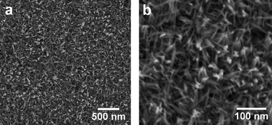 SEM images of the surface of the ZnO nanorod arrays synthesized by reaction of a Zn foil with an aqueous 0.2 M Na2O2 solution at room temperature for 2 h: (a) Low magnification. (b) High magnification.