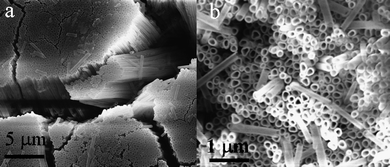 SEM images of the as-prepared SnO2 nanotubes array: (a) overview; (b) magnified image showing clear hollow tube structure.