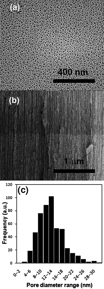 SEM images of (a) top down and (b) side view of the pSi membranes and (c) a pore size distribution graph (as determined by SEM analysis).