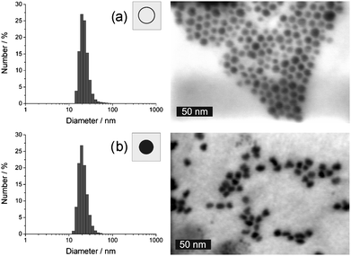 Size and size distribution according to DLS analysis and STEM images: (a) as-prepared silver hollow spheres and (b) massive silver nanoparticles (DLS subsequent to redispersion in ethanol).