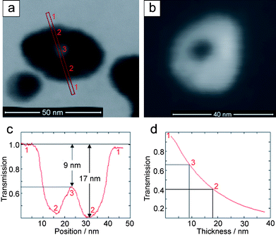 Low-energy STEM images of silver hollow spheres recorded at 30 keV in the (a) BF-mode at 30 kV and (b) HAADF-mode. (c) Intensity profile through the hollow sphere in (a). (d) Transmission in the BF-mode calculated by Monte-Carlo simulations as a function of the Ag thickness. The cross-section of the hollow sphere along the direction of transmission is indicated by vacuum: 1, maximum wall thickness: 2 and center of the inner cavity: 3.