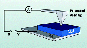 Schematic diagram of the electrode configuration for the measurements with the Conductive Atomic Force Microscope (CAFM).