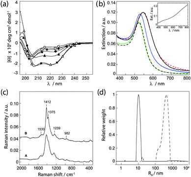 (a) CD spectra of JR2E and JR2K at pH 7 in the presence and absence of PEDOT-S. (○) JR2E, (□) JR2E + PEDOT-S, (◆) JR2K, (●) JR2K + PEDOT-S, (▲) JR2K + PEDOT-S + JR2E, (■) JR2E + PEDOT-S + JR2K and (△) JR2E + JR2K. (b) UV-vis spectra of (black broken line) AuNP–JR2EC, (green) AuNP–JR2EC + PEDOT-S, (blue) AuNP–JR2EC + PEDOT-S + JR2KC2, (black) AuNP–JR2EC + JR2KC2 + PEDOT-S, and (red broken line) AuNP–JR2EC + JR2KC2. Inset: PEDOT-S. (c) Raman spectra of A: PEDOT-S and B: AuNP–JR2EC + PEDOT-S + JR2KC2, cast and dried on a glass substrate. (d) Size distributions from DLS of (solid line) AuNP–JR2EC and PEDOT-S and (broken line) AuNP–JR2EC + PEDOT-S + JR2KC2.