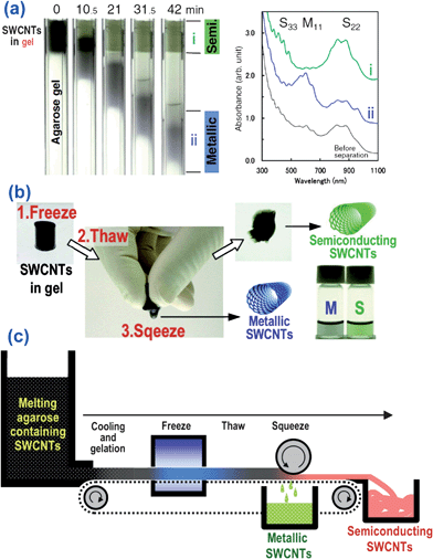 (a) Separation of the SWCNT-dispersed solution by agarose gel electrophoresis (AGE). Sequential photographs show the progress of separation. Absorption spectra of fractions after AGE and absorption spectra indicate the purities of the separated fractions. (b) Met-/Semi- separation by the freeze and squeeze method. Frozen agarose gel containing SWCNTs dispersed with SDS is thawed and squeezed by hand. (c) Illustration of continuous Met-/Semi- separation by the freeze and squeeze method (adapted from ref. 119).