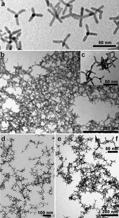 (a) Wide-field low magnification TEM image of the same CdSe@CdTe tetrapods as shown in Fig. 1a, after their phosphonic acid surfactants were exchanged with pyridine; TEM images of these pyridine coated tetrapods organized into networks upon reaction with: (b–c) acetic acid, followed by sonication for 30 min; (d) trimethylchlorosilane; (e–f) hydrazine. In (f) several junctions can be seen between tetrapods.