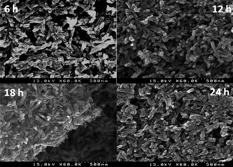 SEM images of prepared N-doped TiO2 samples after the indicated growth time of 6, 12, 18 and 24 hours.