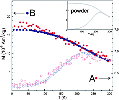 Temperature dependence of the zero field cooled (ZFC, open symbols) and field cooled (FC, full symbols) magnetizations of embedded NPs (A, red curves) compared to spin coated thin deposits (B, blue curves). The inset shows the magnetizations of as prepared (powder) NPs.