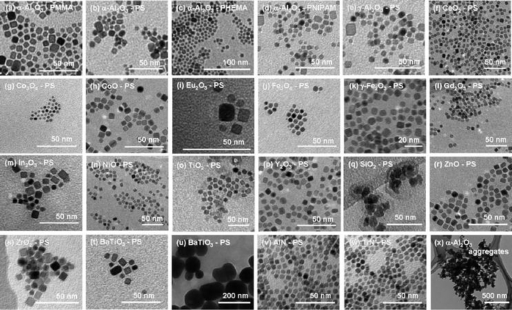 TEM images of the directly polymer-grafted NPs. The image of the unmodified α-Al2O3 NPs (x) is also depicted for comparison.