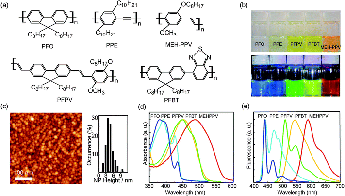 (a) Chemical structures of the conjugated polymer nanoparticles (CPNs). (b) Photographs of aqueous CPNs suspensions under room light (upper) and UV light (lower). (c) Typical AFM images of the densely packed PFO nanoparticles (left) and the corresponding histogram of the nanoparticle height (right). (d) Absorption spectra and (e) fluorescence spectra of various CPNs. Reproduced with permission from ref. 15 and 27. Copyright American Chemical Society, 2006 and 2008.