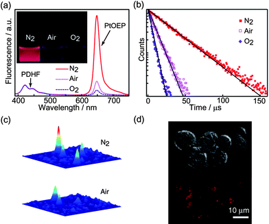 (a) Oxygen-dependent emission spectra of the 10% PtOEP doped PDHF dots. The inset shows doped PDHF dots in aqueous solutions saturated with nitrogen, air, and oxygen, respectively, under a UV lamp. (b) Phosphorescence decays of the 10% PtOEP-doped PDHF dots with different oxygen concentrations. (c) Single-particle phosphorescence images of the doped CPdots immobilized on a coverslip under nitrogen and air atmosphere, respectively. (d) DIC (upper) and phosphorescence (lower) images indicate that uptake of the nanoparticle sensor by macrophage cells. Reproduced with permission from ref. 20. Copyright Wiley-VCH, 2009.