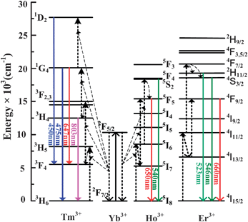 The energy diagram of the Yb3+, Er3+, Ho3+ and Tm3+ dopant ions and the possible UC mechanisms under the excitation of a 980 nm LD. The full, dotted and dashed arrows represent emission, energy transfer and multi-phonon relaxation processes respectively.