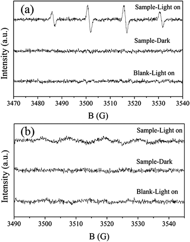 ESR spectra observed for sample HSN prepared at 160 °C. The active species are (a) ˙OH irradiated for 80 s and (b) ˙O2− irradiated for 360 s.