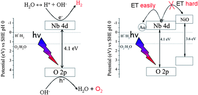 Mechanism of water splitting over the HSN samples.