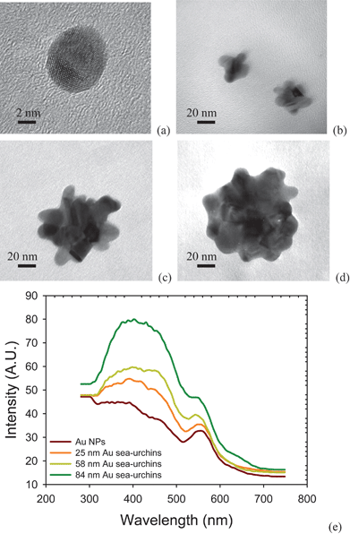 Morphology of (a) Au NPs, (b) 25 nm gold NSUs, (c) 58 nm gold NSU, (d) 84 nm gold NSU, and (e) photoluminescence of gold NPs and NSUs. As the size of NSU increases, so does the photoluminescent intensity.