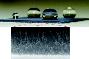 Nearly spherical water droplets on surfaces coated with BNNTs indicating the superhydrophobicity. The zoomed-in image shows the cross-sectional view of the BNNTs on the substrate.