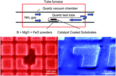 Experimental setup for catalytic chemical vapor deposition and the resultant patterned growth.