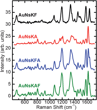 SERS spectra, after background subtraction, collected from colloidal solutions of gold nanospheres conjugated with one or both fluorophores at room temperature (see text for abbreviations and further details).