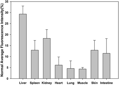 Average fluorescent intensity analysis of major organs in ex vivo fluorescence imaging after 5 h postinjection of AuNCs.