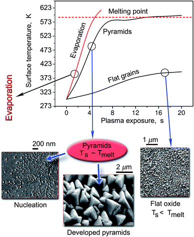 Temporal dynamics of the surface temperature and three typical surface morphologies in the growth of CdO nanostructures in reactive oxygen plasmas.