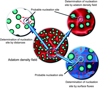 Nucleation of iron oxide nanowires visualized via multiscale hybrid numerical simulations. Two-dimensional fields of adatom densities and surface fluxes make it possible to determine the most probable morphological features of the surface where nanowire nucleation is most likely.