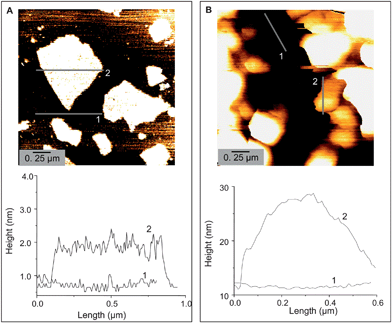 AFM height images of as synthesized GO (A) and polymer coated G (B).