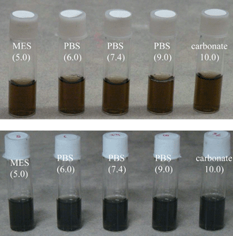 Stable colloidal solution of polymer coated graphene oxide (GO) and graphene (G) in different aqueous buffer solutions.