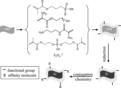 Polyacrylate coating step for colloidal graphene oxide (GO) followed by their conversion into graphene (G) and subsequent functionalization.