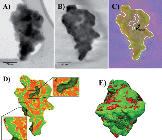 (A) 2D-TEM image at 0° tilt from the tilt series used to reconstruct the mean density volume. (B) Section through the reconstructed volumes corresponding to the mean density. (C) Cross-section, taken at the same depth and angle with respect to the initial orientation as that of Fig. 4A, through the 3D relative map of SiC (red) with respect to SiOx (green), in white the guide for the external surface and the pore. (D) Threshold sorting modeling of the 3D SiC/SiOx map showing the spatial spread of the SiOx on the two surfaces; inset a: zoom in the vicinity of the R-pore showing the presence of less oxygen on the R-pore surface; inset b: zoom near the external C-pore surface illustrating its high oxidation degree. (E) Global modeling of the analyzed SiC grain.