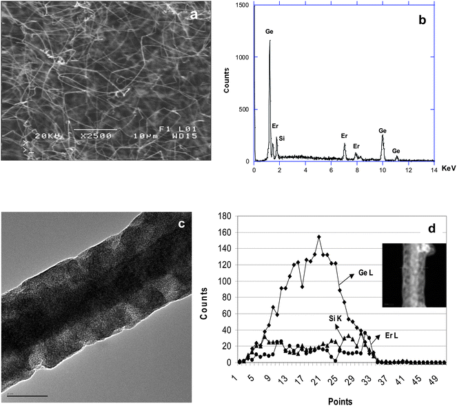 (a) SEM image of “Er-surface enriched” SiGe NWs; (b) EDX spectrum of the NWs; (c) TEM image of a typical NW (scale bar = 20 nm); (d) EDX linescans of the NW shown in the inset suggest that an average loading of ∼6% Er3+ is present in the center of the NWs (scale bar = 20 nm).