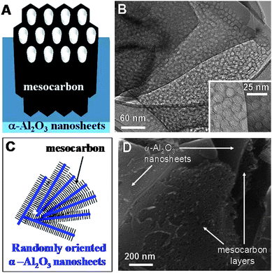 Simple model of ordered mesoporous carbon–α-alumina nanosheet composites supported by HRTEM and SEM images. Carbon layers with mesopores oriented perpendicularly to the (001) facets of α-alumina nanosheets (panels A and B). Higher magnification of the mesopores is shown in the lower inset of B. Several nanosheets with layers of mesoporous carbon between them (panels C and D). The exposed layers of carbon in D reveal the presence of mesopores oriented perpendicularly to the underlying nanosheets.