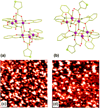 Mn6 structures (with 3-tp-CO2− functionalizations) of the derivatives 1 with S = 4 (a) and 2 with S = 12 (b). The large and medium circles depict the MnIII ions and the S atoms respectively. While dark and clear small circles indicate N and O atoms. The lines link the C atoms. H atoms are omitted for clarity. STM images (65 × 65 nm2) in constant-current mode of the Au(111) surface immersed in a solution of 1 (c) and 2 (d).