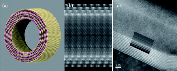 (a) Ball-and-stick model of a multiwall MoS2 nanotube. Mo atoms appear as pink spheres, and pale yellow spheres represent S atoms. All the four walls were rolled up as zigzag tubes. The inner wall is a (90,0) tube of 9.2 nm of diameter. The successive layers were also zigzag tubes [roll-up vectors (103,0), (116,0), (129,0)], (b) STEM simulation of the tube shown in (a), with the axis of the tube perpendicular to the electron beam. (c) Real aberration-corrected STEM micrograph of a 12-walled nanotube. A partial reproduction of (b) was scaled and superposed into the micrograph in (c).