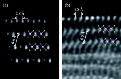 (a) STEM simulated image of a segment of the multiwall tube model presented in Fig. 6. The resolution and contrast are high enough to identify the S columns, as can be noted by the superposition of the ball and stick model (pink balls: Mo atoms; yellow balls: S atoms). Measurements were made directly on the STEM simulated image. (b) Segment of an aberration-corrected STEM micrograph, where the S columns are also identifiable. [Note that the distances between the Mo–Mo atoms is 2.8 Å and the distance between the layers correspond to 6.6 Å].